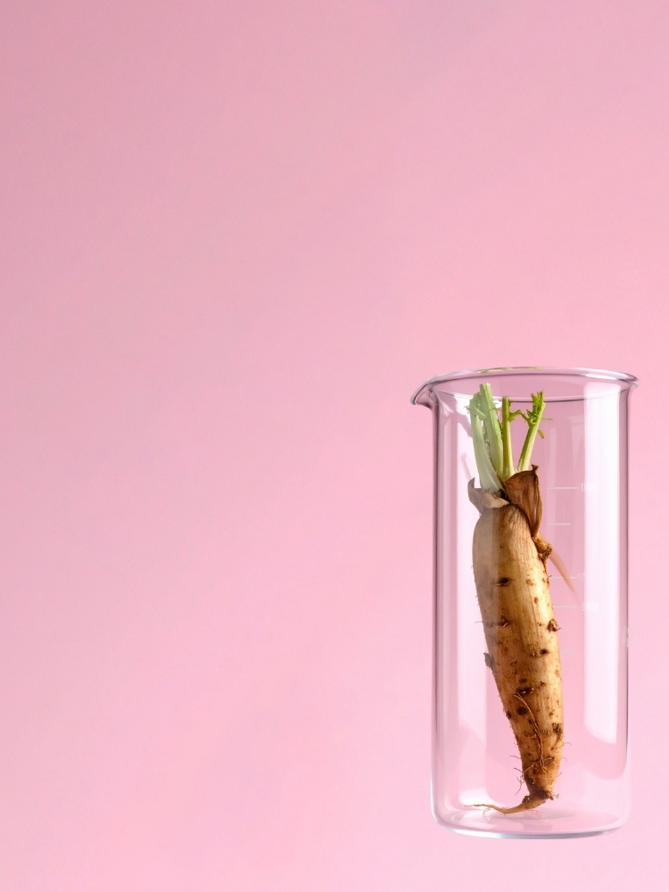 Inulin Technology Background Mobile